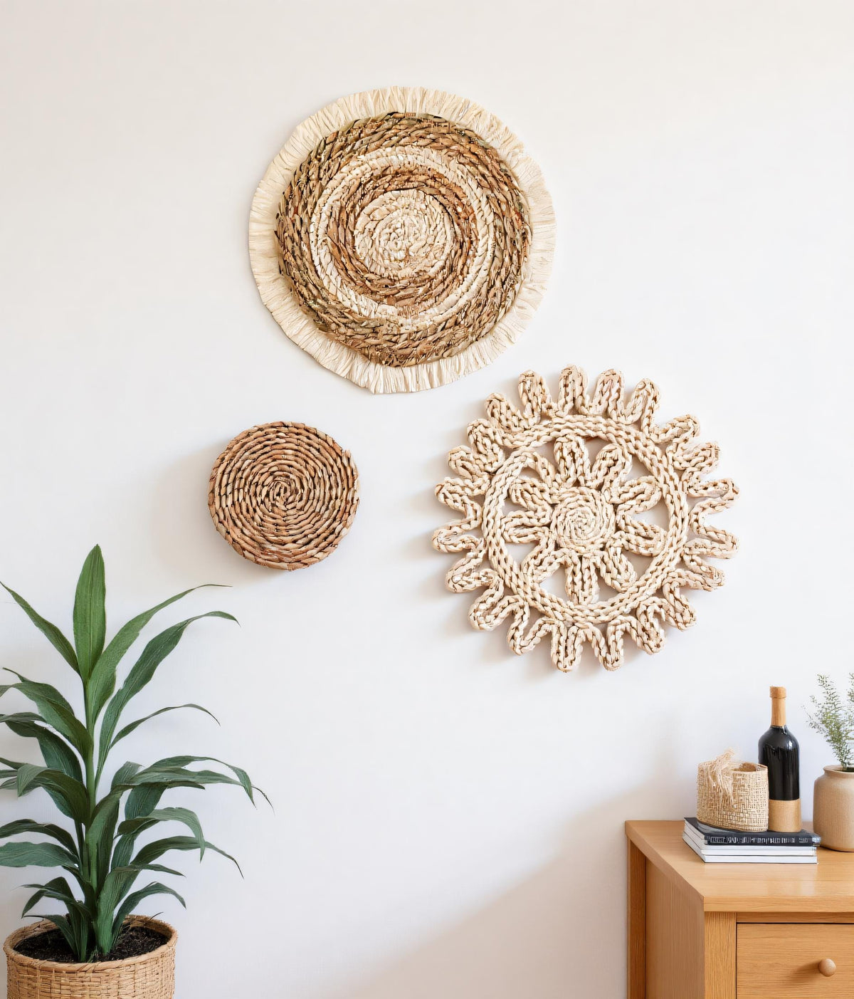 a minimalist living space with a white wall, a potted plant, and three decorative wall hangings.