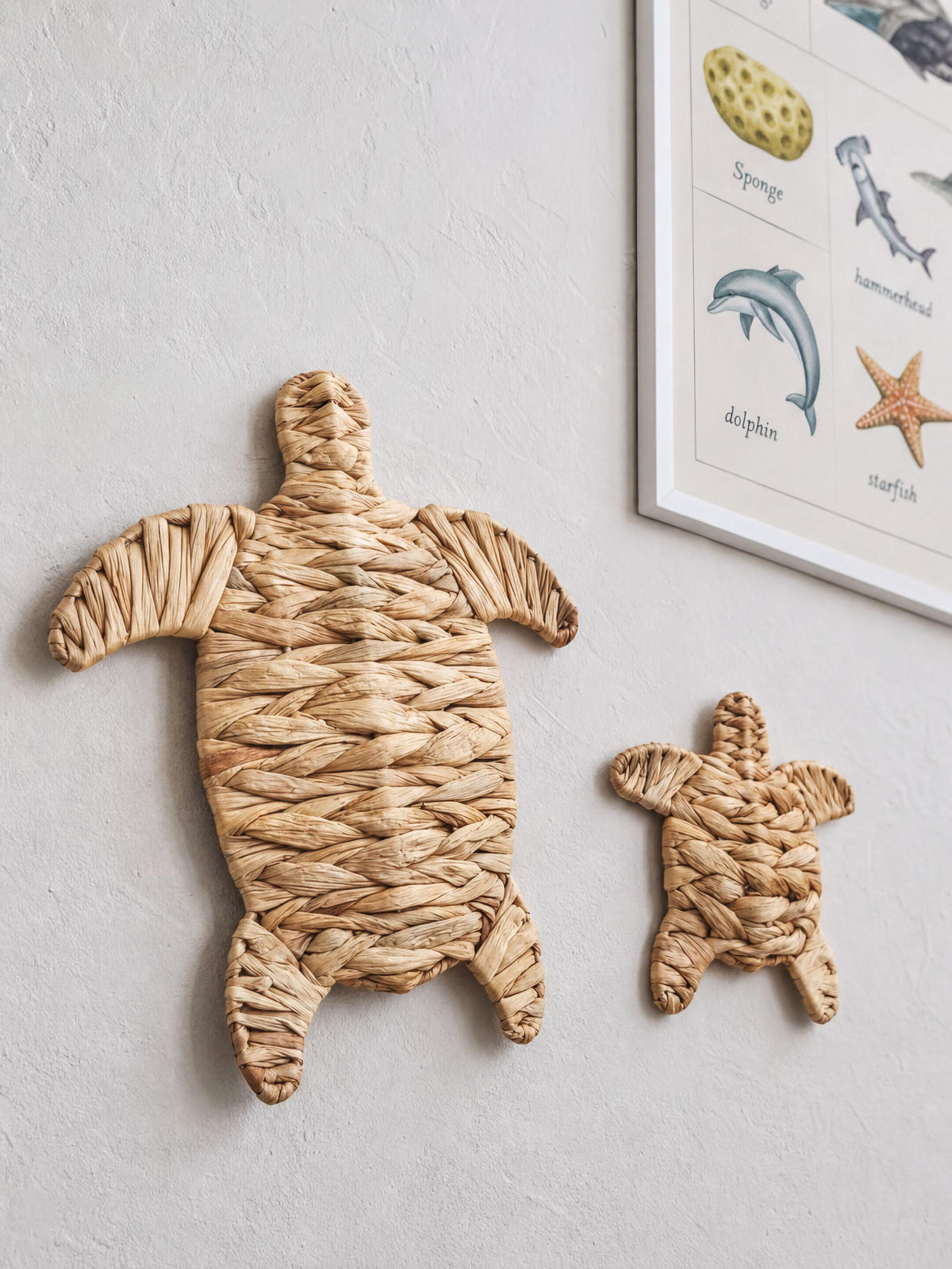 two woven turtle-shaped wall decorations, one larger and one smaller, hanging on a wall next to a framed illustration of sea creatures.